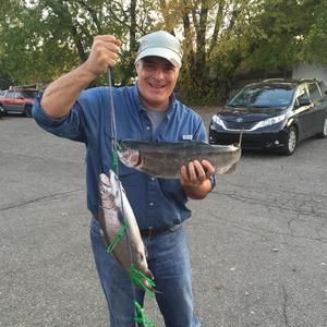 Meet your Posher, Dana